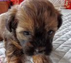 40����С���������