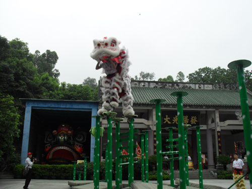 SAM_0437.JPG