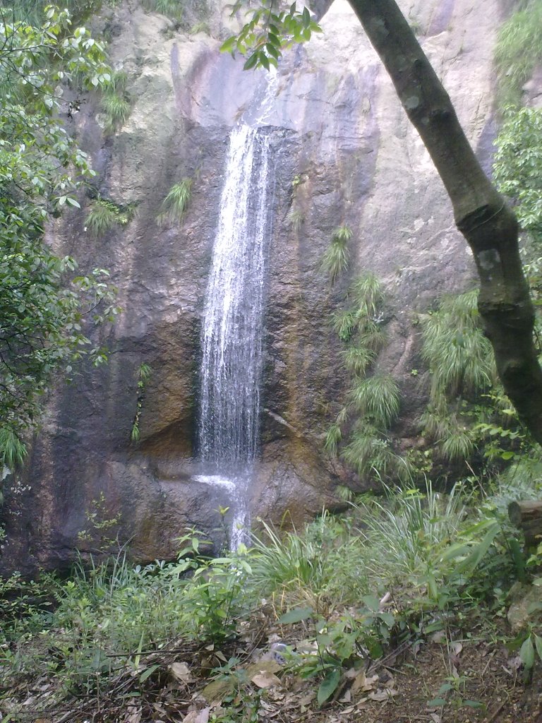 20100621625.jpg