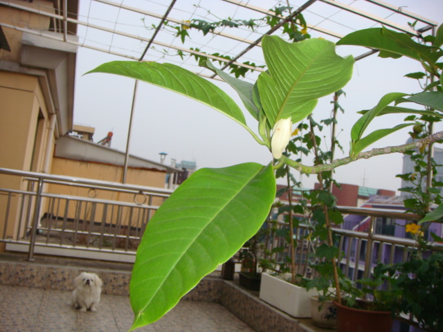 DSC01726.JPG