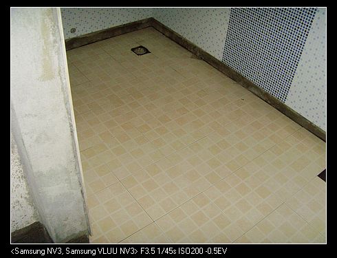 SNV37511.jpg
