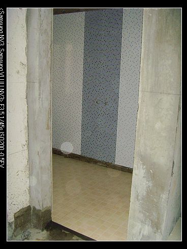 SNV37498.jpg