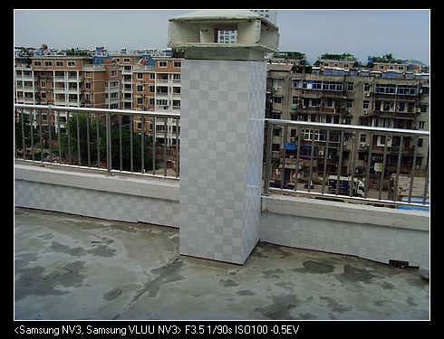 SNV37502.jpg