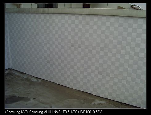 SNV37508.jpg