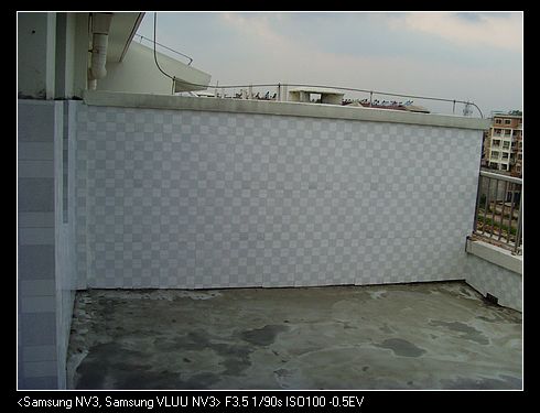 SNV37499.jpg