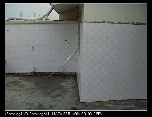 SNV37506.jpg
