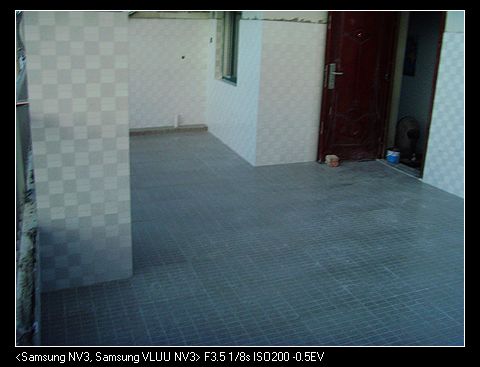 SNV37553.jpg