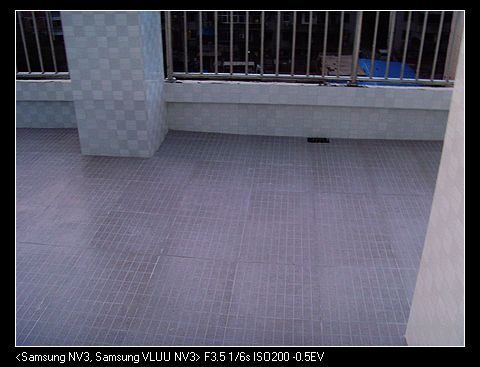 SNV37547.jpg