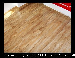 SNV37574.jpg