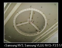 SNV37588.jpg