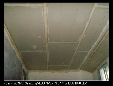 SNV37629.jpg