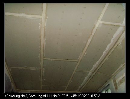 SNV37628.jpg