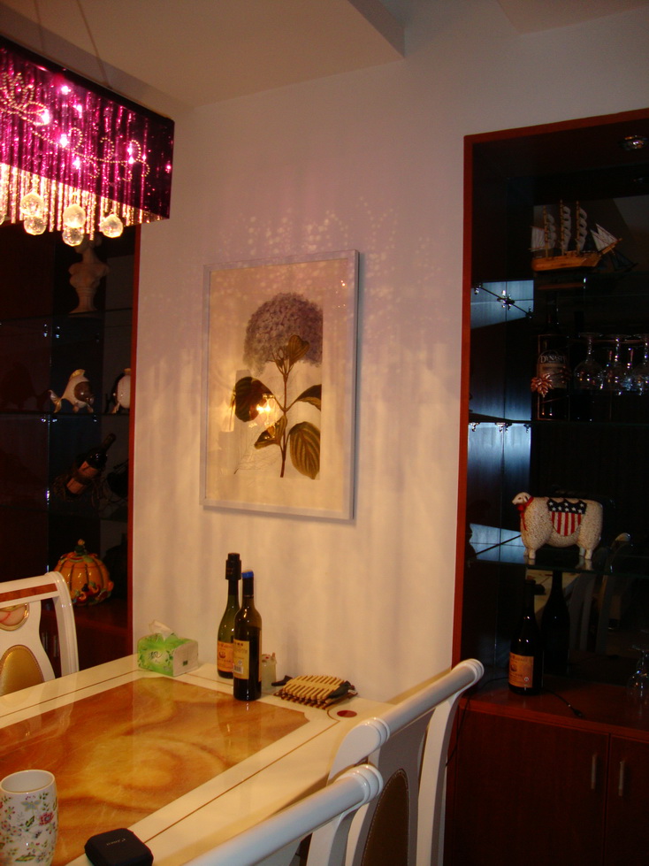 DSC01524.jpg