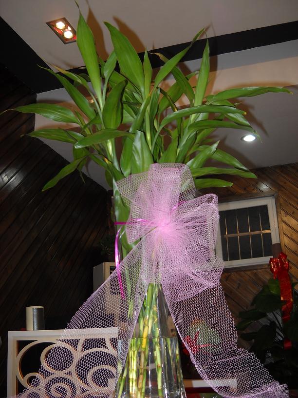 DSCN0267.JPG