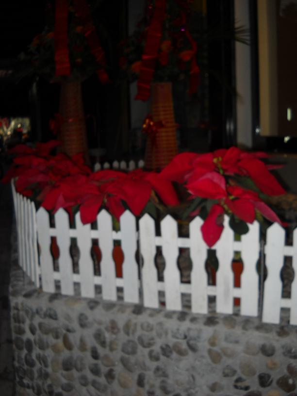 DSCN0274.JPG
