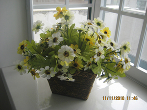 IMG_1623.jpg