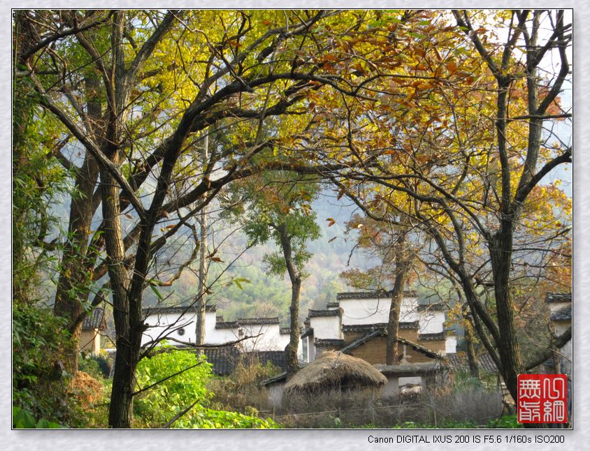 【活动作业】一任协里彩叶舞 七色田园五谷香