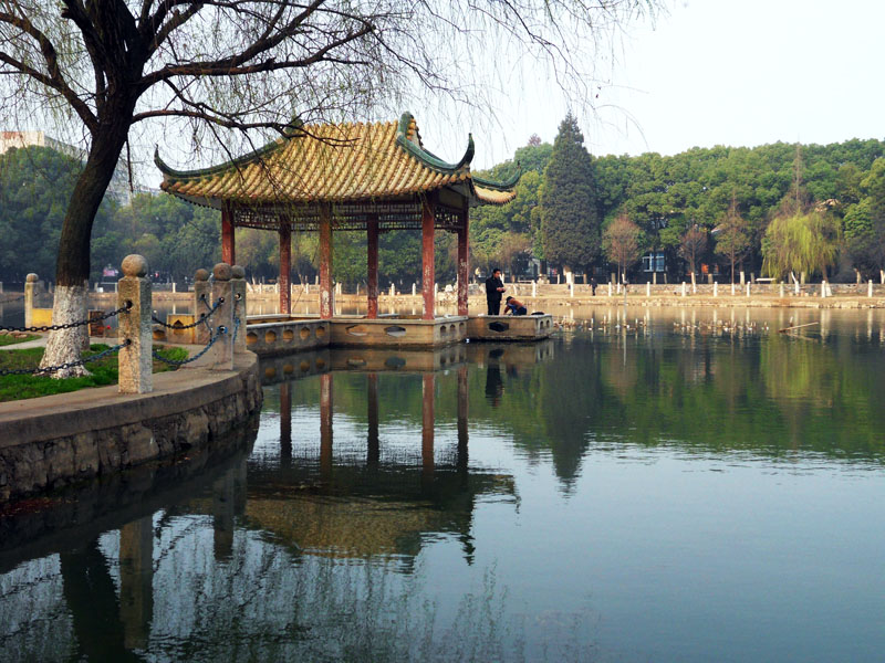 水上公园 春风杨柳 - 安庆摄影 - 安庆e网生活