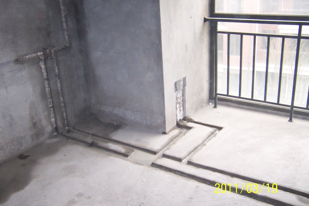 p1.JPG