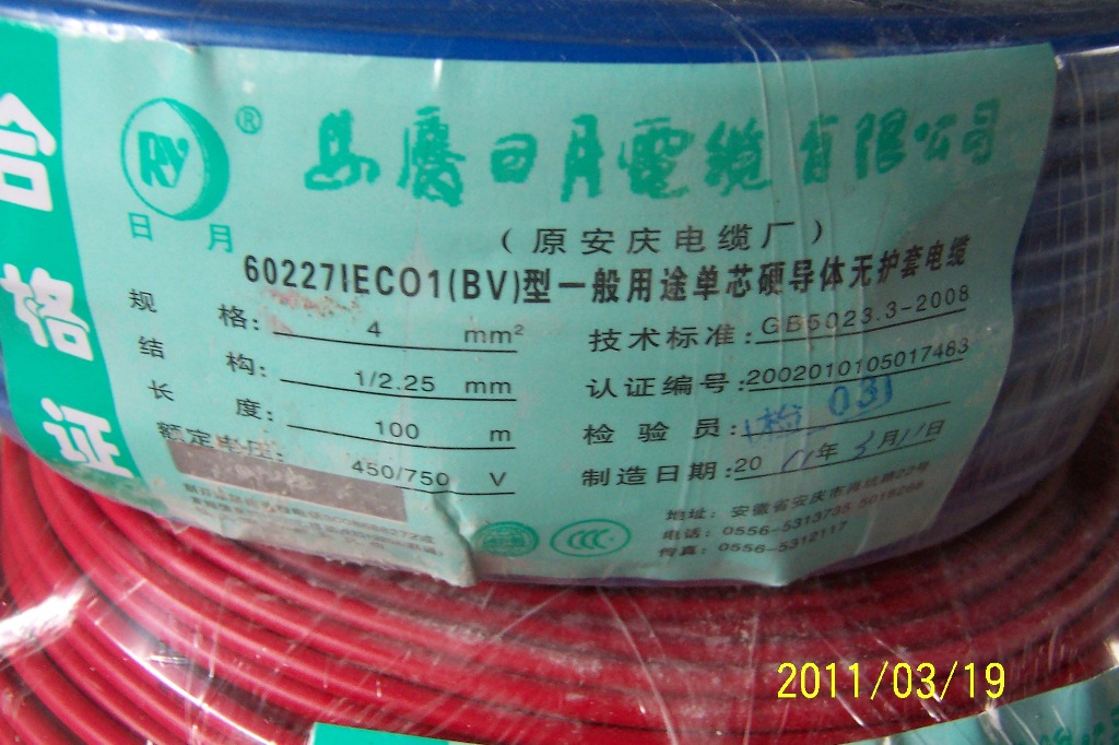 p6.JPG
