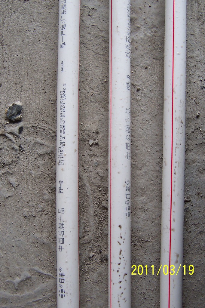 p19.JPG