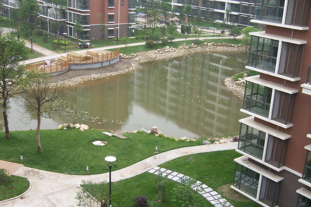 p3.JPG