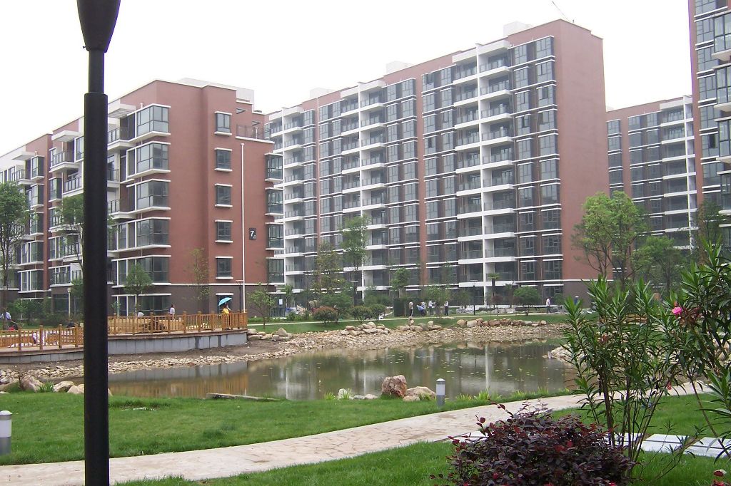 p1.jpg