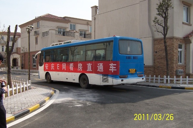 p1.JPG