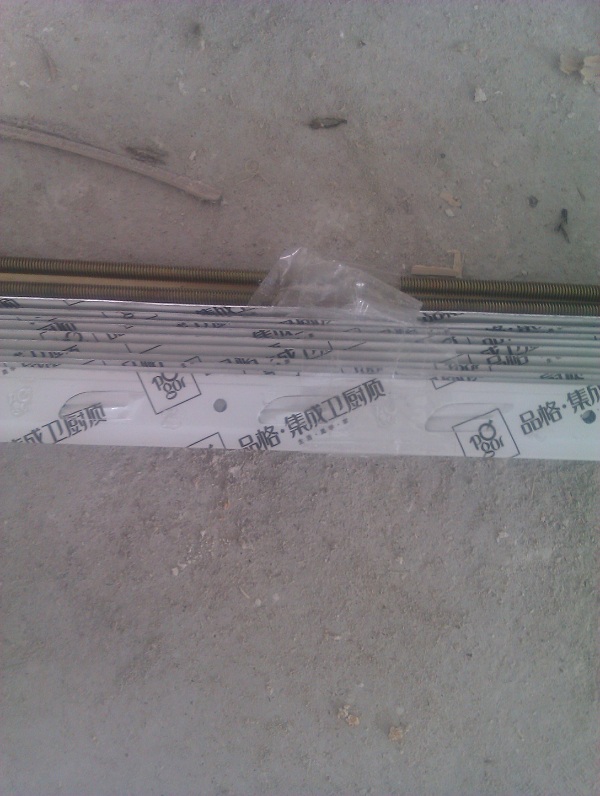 IMAG0308.jpg