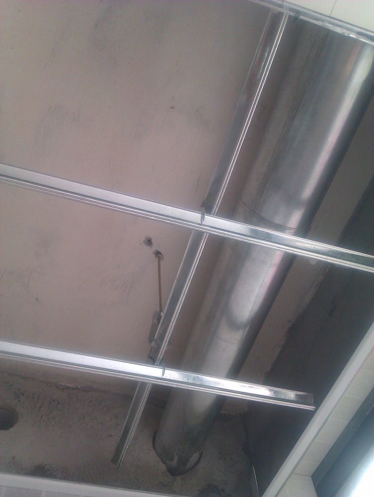 IMAG0317.jpg