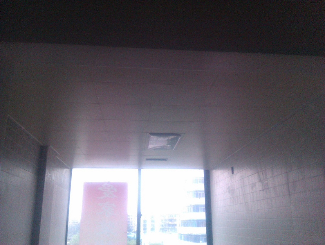 IMAG0354.jpg