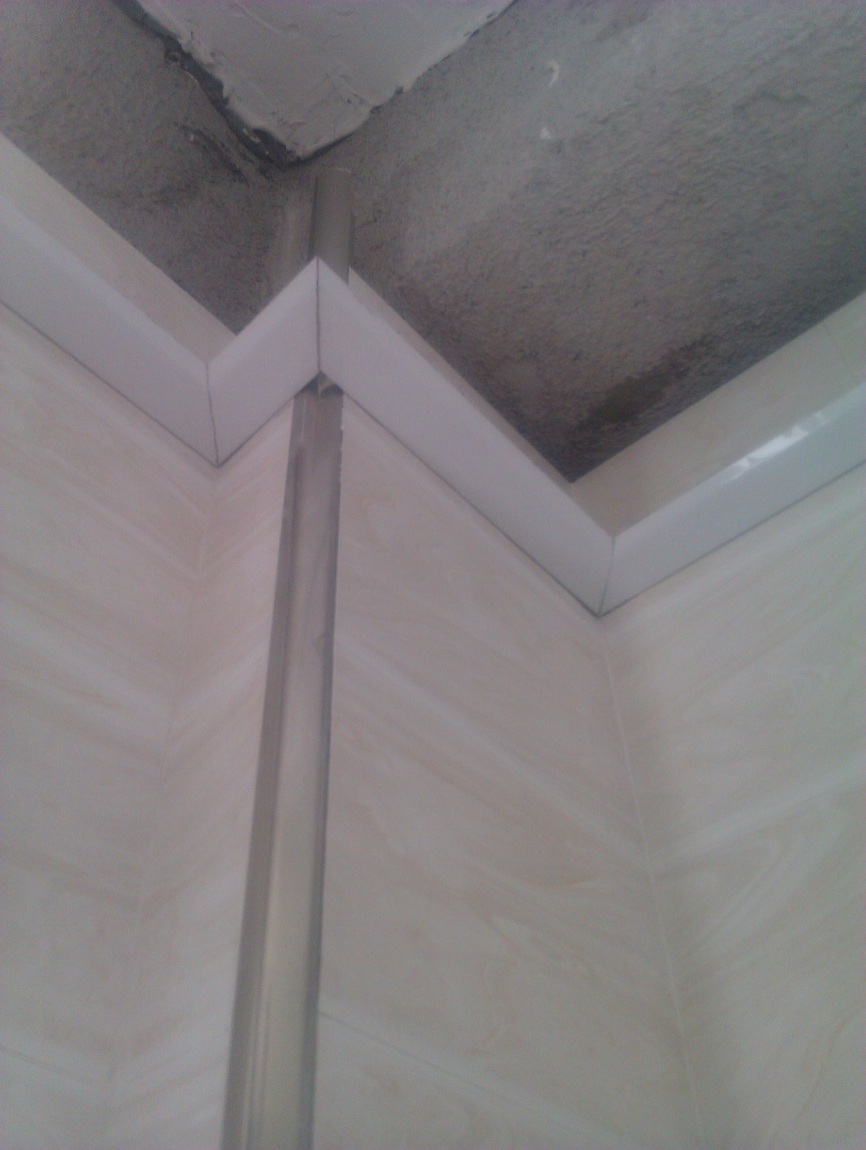 IMAG0321.jpg