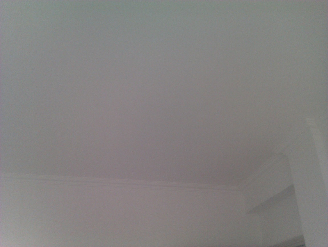 IMAG0333.jpg