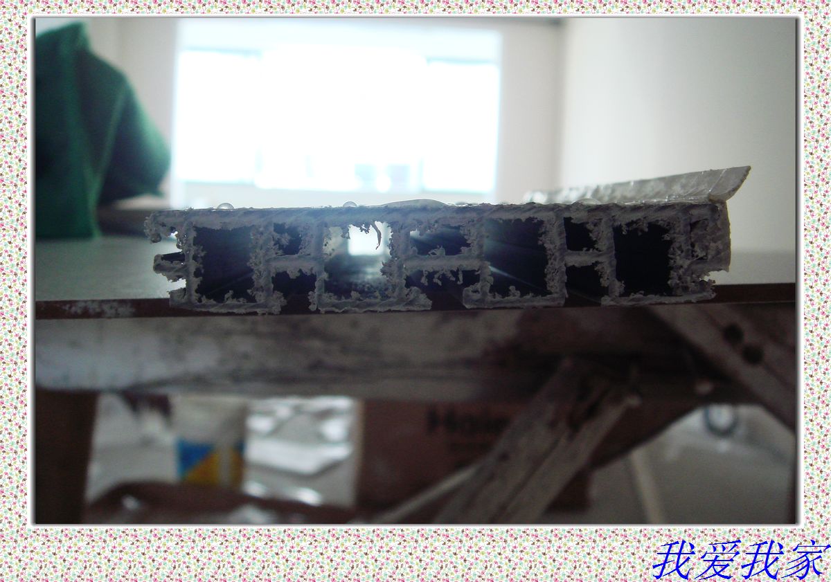 nEO_IMG_DSC02723.jpg