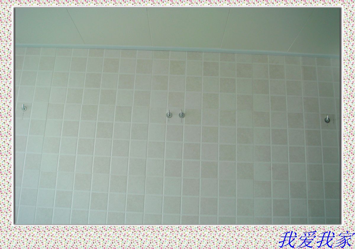 nEO_IMG_DSC02726.jpg