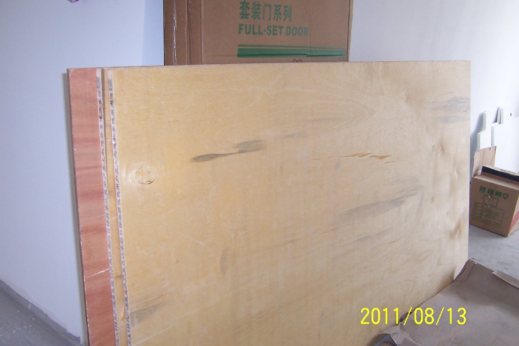 p6.JPG