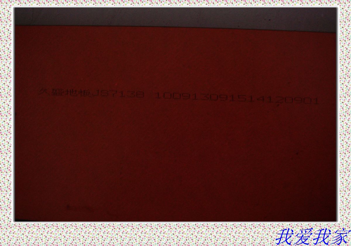 nEO_IMG_DSC02767.jpg