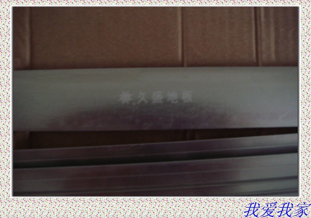 nEO_IMG_DSC02770.jpg