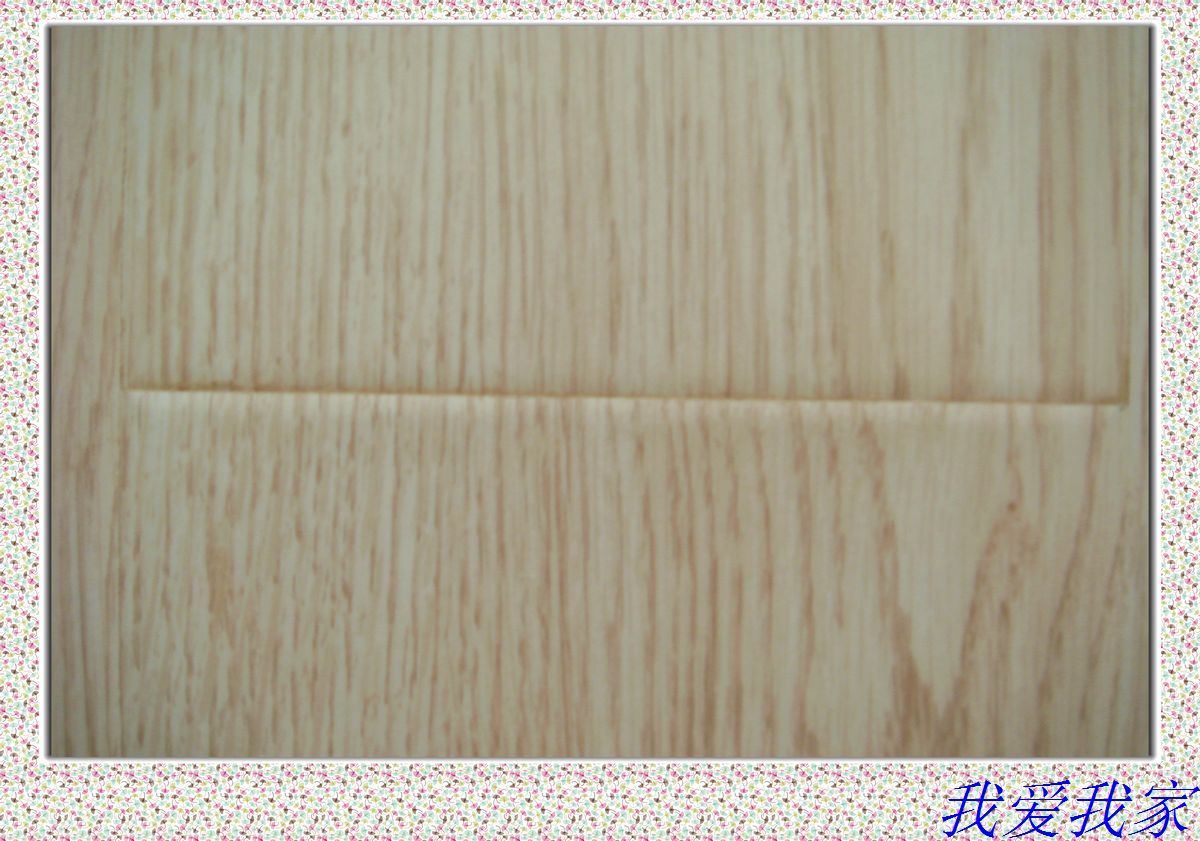 nEO_IMG_DSC02805.jpg