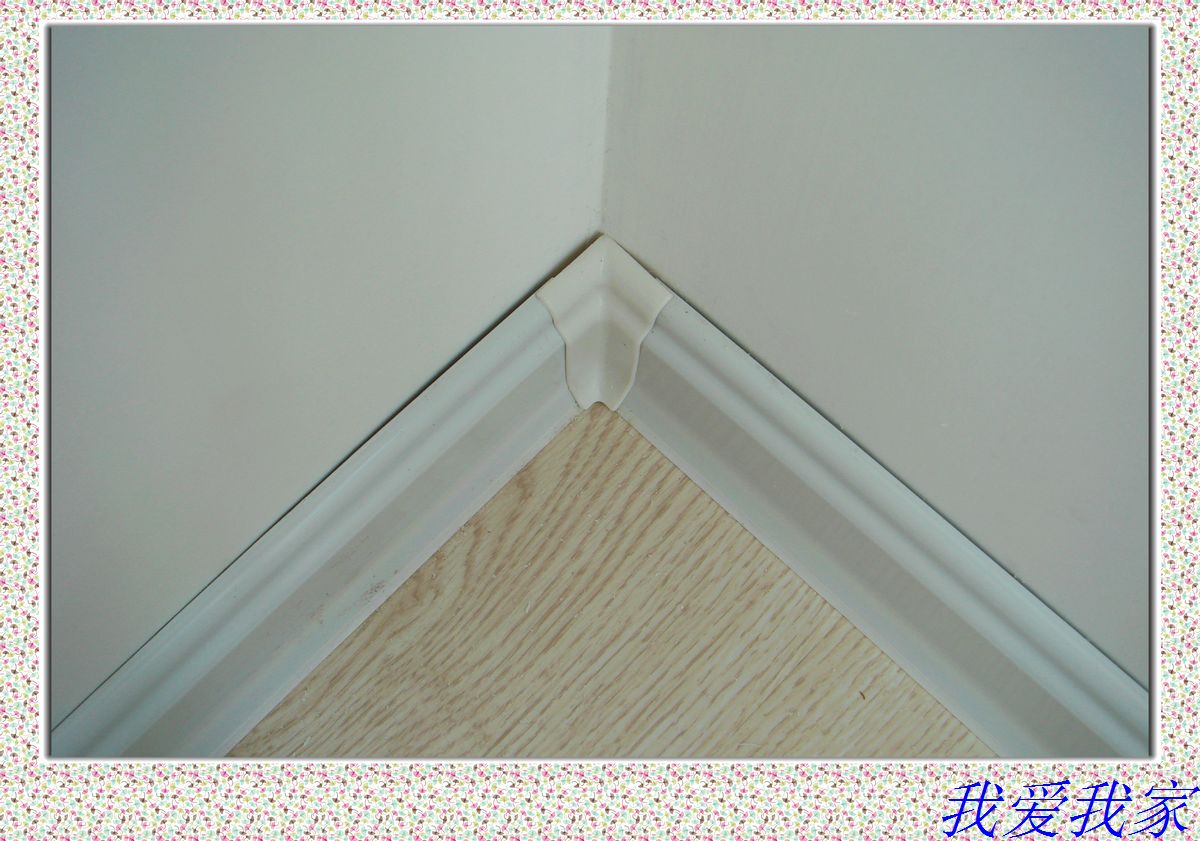 nEO_IMG_DSC02846.jpg