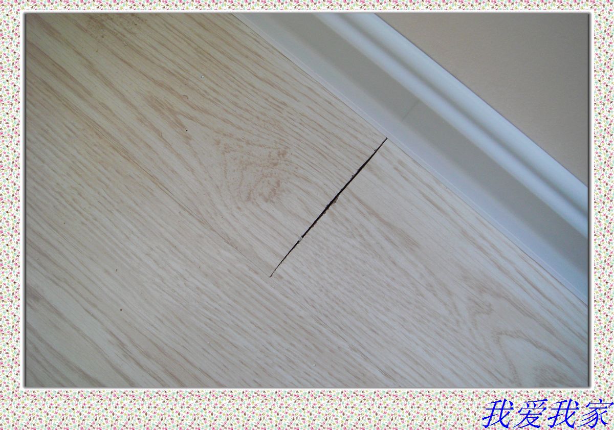 nEO_IMG_DSC02871.jpg