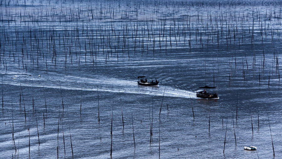 191054nnnbug3s784wkbn8.jpg