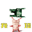 u=3680397549,823338035&fm=0&gp=0.gif