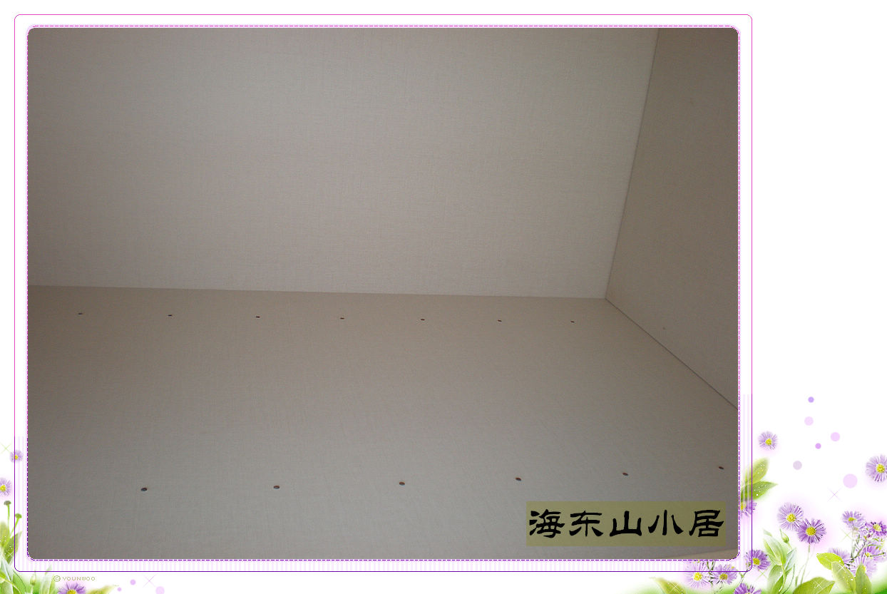 nEO_IMG_PA047308.jpg