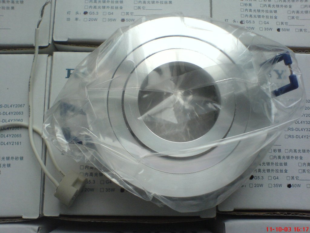p13.JPG