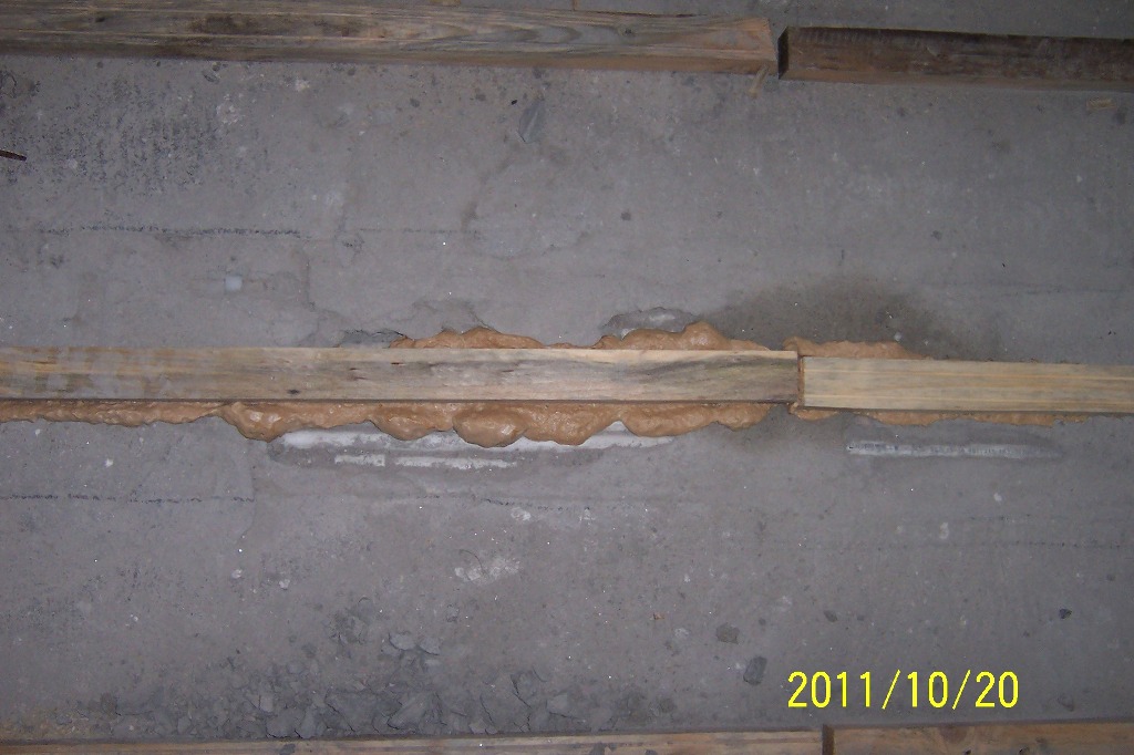 p13.JPG