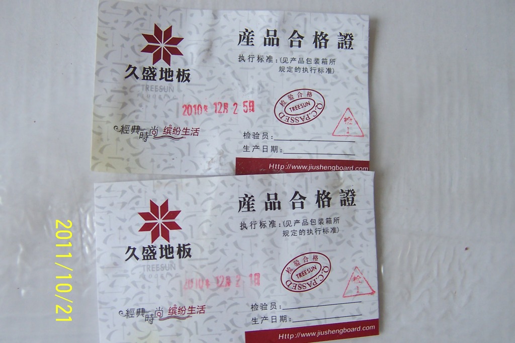 p20.JPG