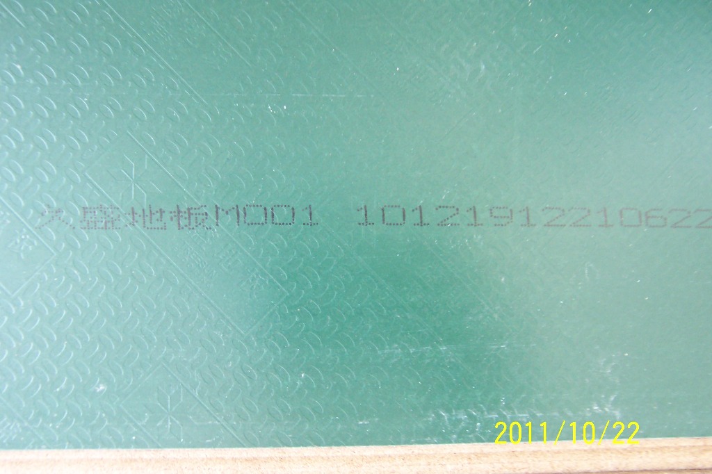 p91.JPG