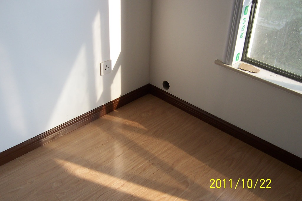 p61.JPG