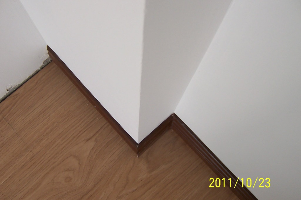 p53.JPG